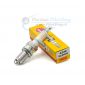 Spark-plugs-NGK-DCPR8E